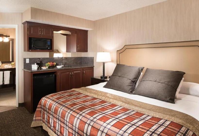 带大床的行政房间, Best Western Plus Flathead Lake Inn And Suites