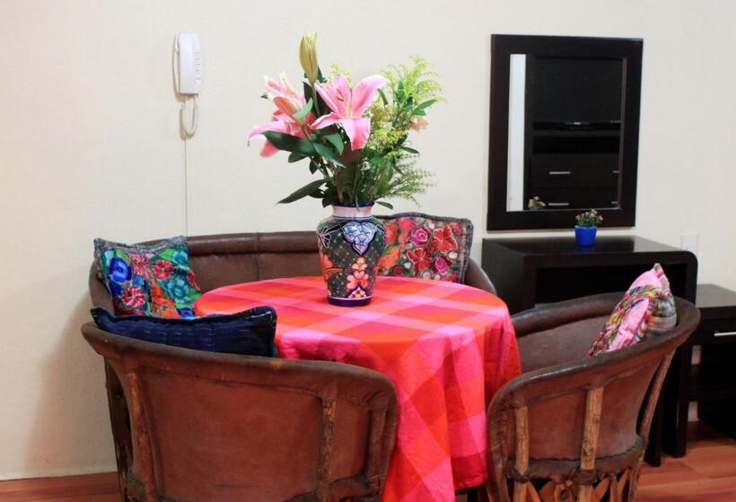 اتاق استاندارد, La Iguana Vallarta Lgbt Adults Only   Romantic Zone   Party Clubbing Street