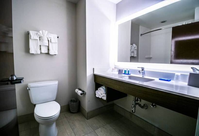 스탠다드 룸, Holiday Inn Express Hotel & Suites Baton Rouge  Port Allen, An Ihg