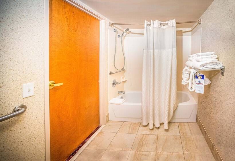 디럭스 스위트, Americinn By Wyndham Denver Airport
