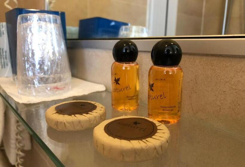 اتاق استاندارد با تراس, Brenta Milano