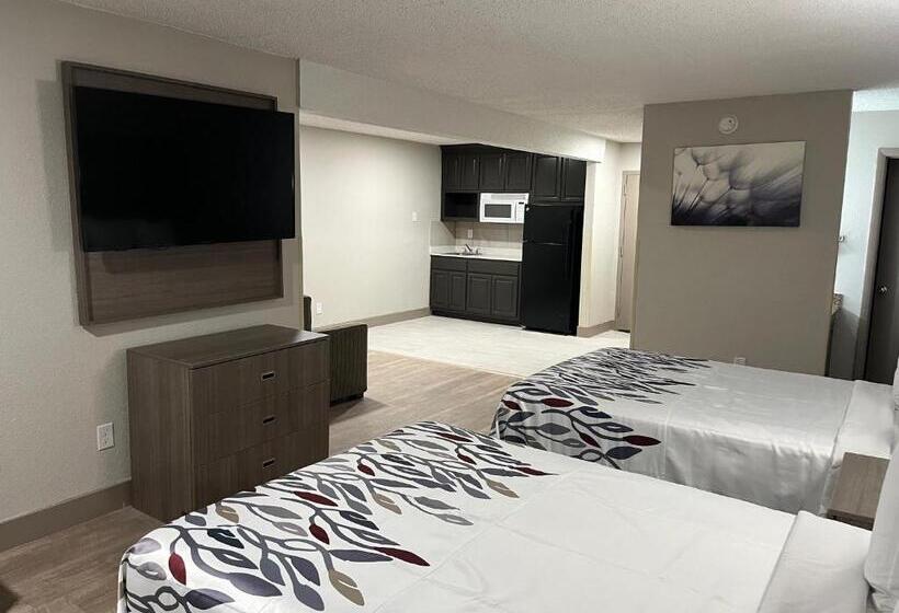 Люкс, Red Roof Inn & Suites Newport News
