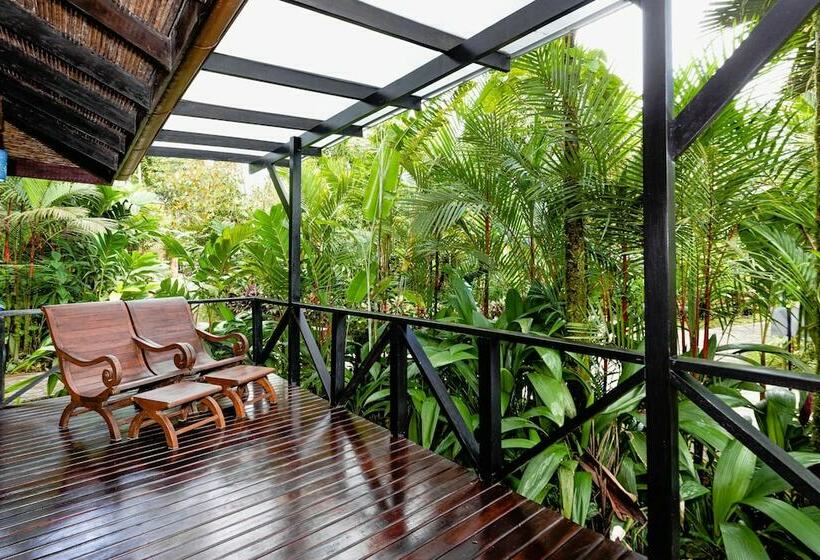 اتاق لوکس با تخت دو نفره بزرگ, Hideaway Rio Celeste