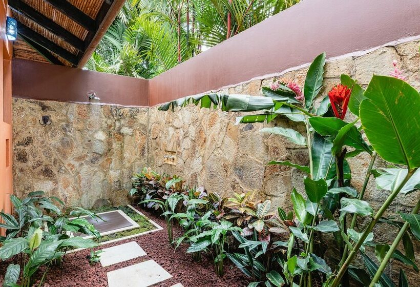 اتاق لوکس با تخت دو نفره بزرگ, Hideaway Rio Celeste