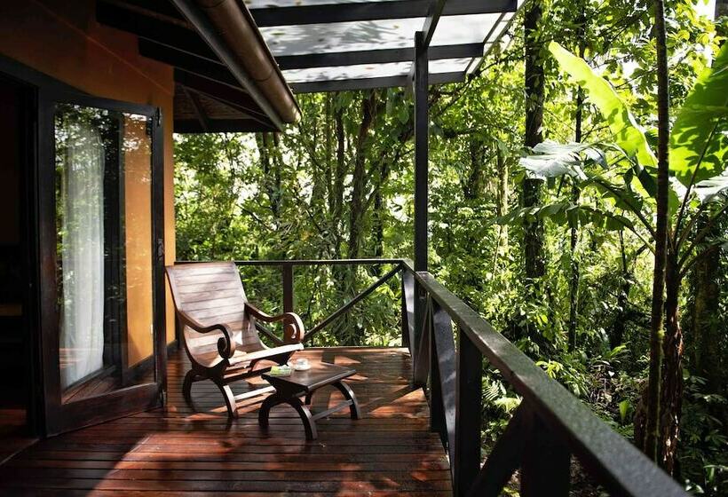 اتاق لوکس با تخت دو نفره بزرگ, Hideaway Rio Celeste