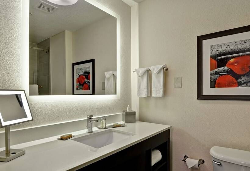 Номер Стандарт 2 Двуспальные Кровати, Doubletree By Hilton Hattiesburg, Ms