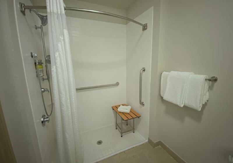 اتاق استاندارد با تخت بزرگ, Holiday Inn Express Hotel & Suites  Gadsden, An Ihg