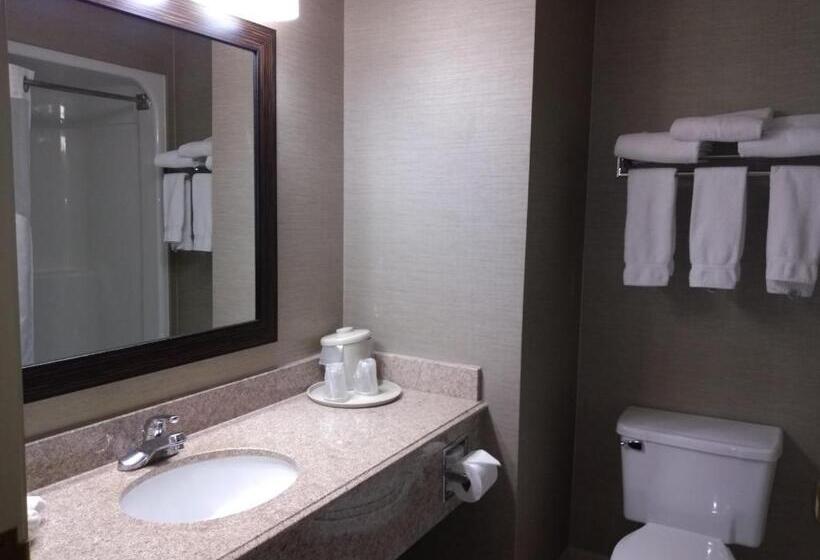 Стандартный Номер Кровать Кинг, Holiday Inn Express Hotel & Suites Waterford, An Ihg