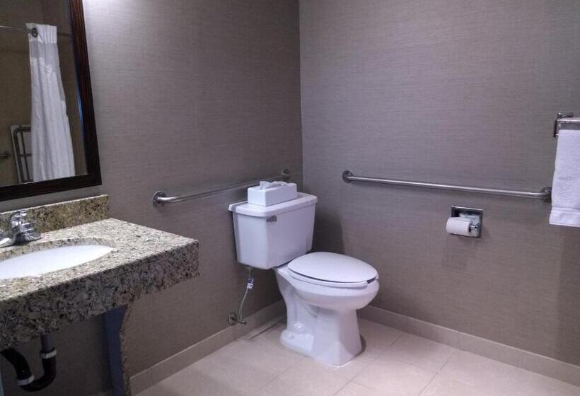 Номер Стандарт Кровать Кинг Адаптированный для Инвалидов, Holiday Inn Express Hotel & Suites Waterford, An Ihg