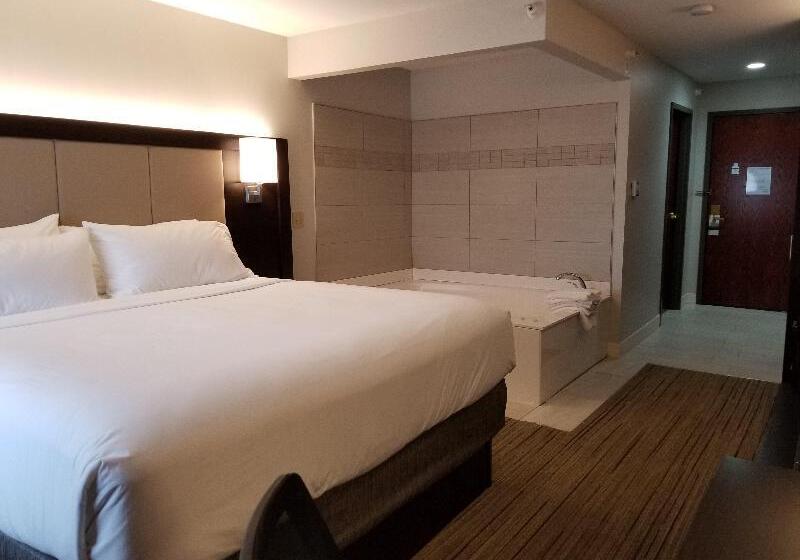 Quarto Estandar Cama King, Holiday Inn Express Birch Run Frankenmuth Area, An Ihg