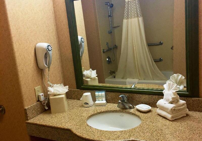 Quarto Estandar Cama King, Holiday Inn Express Birch Run Frankenmuth Area, An Ihg