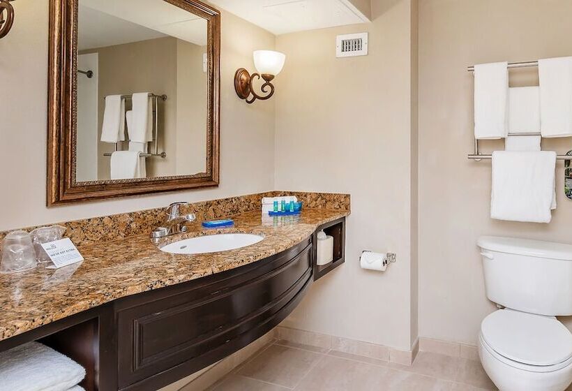 スイート, Holiday Inn Express & Suites Miami Kendall, An Ihg