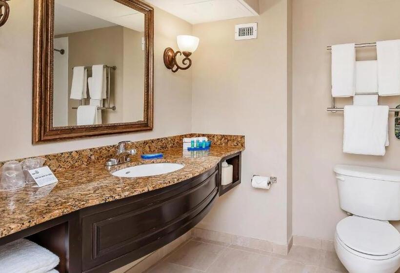 スタンダードルーム, Holiday Inn Express & Suites Miami Kendall, An Ihg