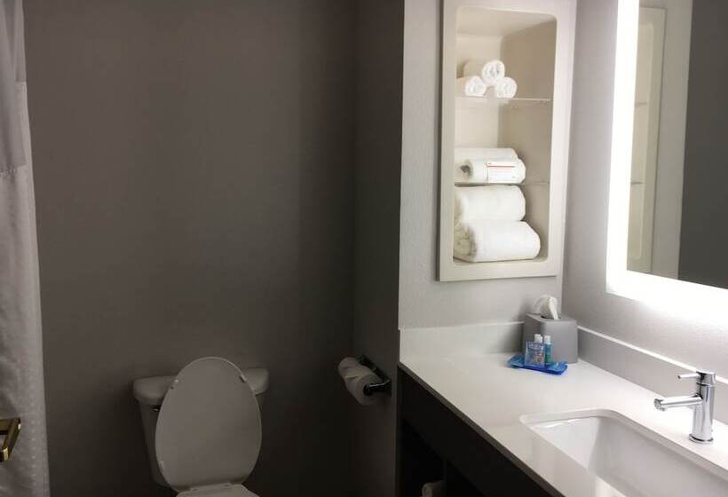 Люкс, Holiday Inn Express And Suites Thomasville, An Ihg