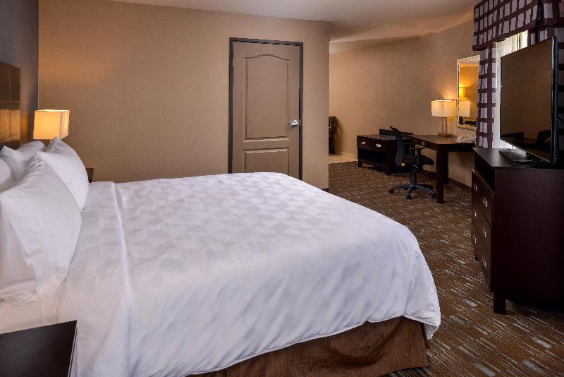 스탠다드 룸 킹사이즈 침대, Holiday Inn Ontario Airport   California, An Ihg