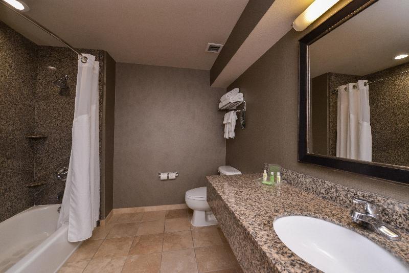 스탠다드 룸 킹사이즈 침대, Holiday Inn Ontario Airport   California, An Ihg
