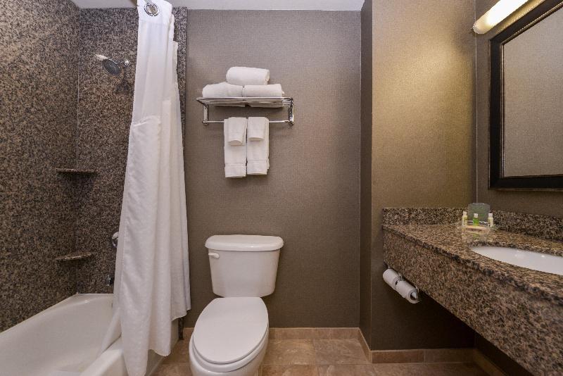 이그제큐티브 스위트 킹침대, Holiday Inn Ontario Airport   California, An Ihg