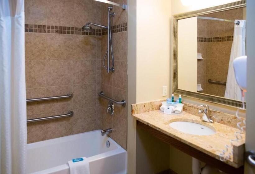 장애인을 위한 킹사이즈 침대 스탠다드 룸, Holiday Inn Express Devils Lake, An Ihg