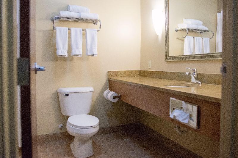 스탠다드 룸 킹사이즈 침대, Holiday Inn Express Devils Lake, An Ihg