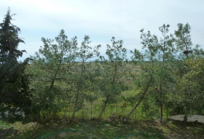 اتاق اساندارد با چشم‌انداز جانبی به دریا, Lidra