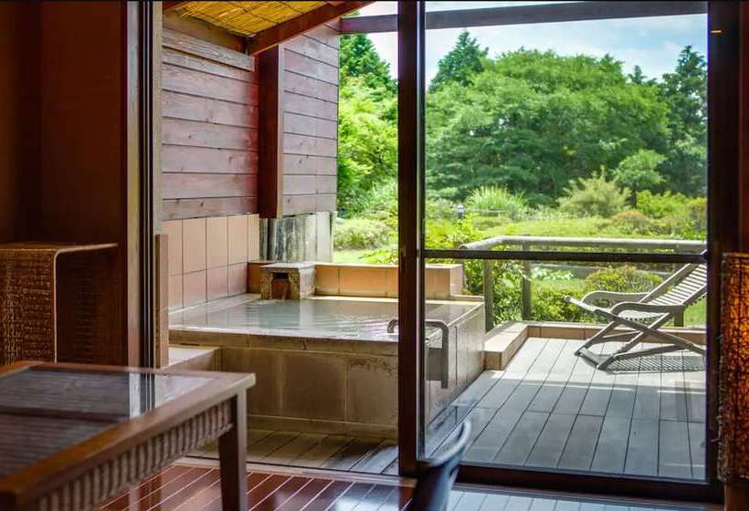 Номер Стандарт, Green Plaza Hakone