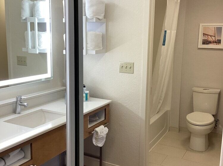 Студия Стандарт Двуспальная Кровать, Hampton Inn & Suites Miami/brickelldowntown