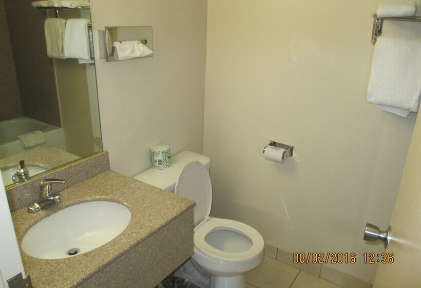 디럭스 룸, Regal Inn Chicago O Hare  Franklin Park