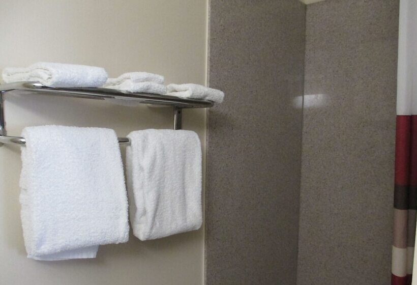 디럭스 룸, Regal Inn Chicago O Hare  Franklin Park