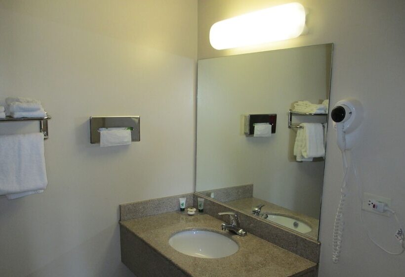 디럭스 룸, Regal Inn Chicago O Hare  Franklin Park