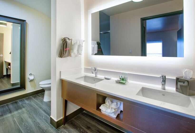 标准间, Holiday Inn Dallas   Fort Worth Airport South, An Ihg