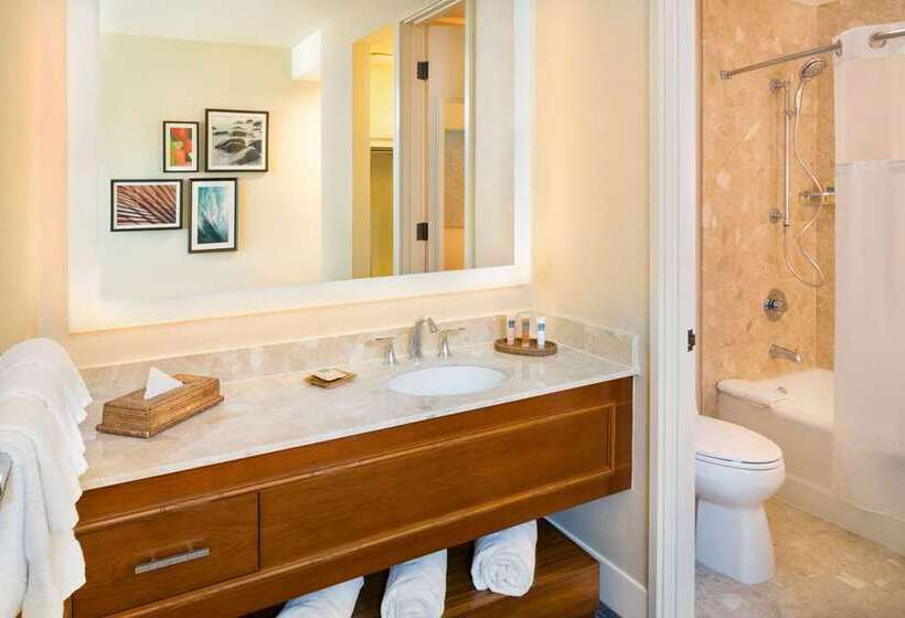 اتاق سوپریور با تخت بزرگ, Hilton Richmond Hotel & Spa/short Pump