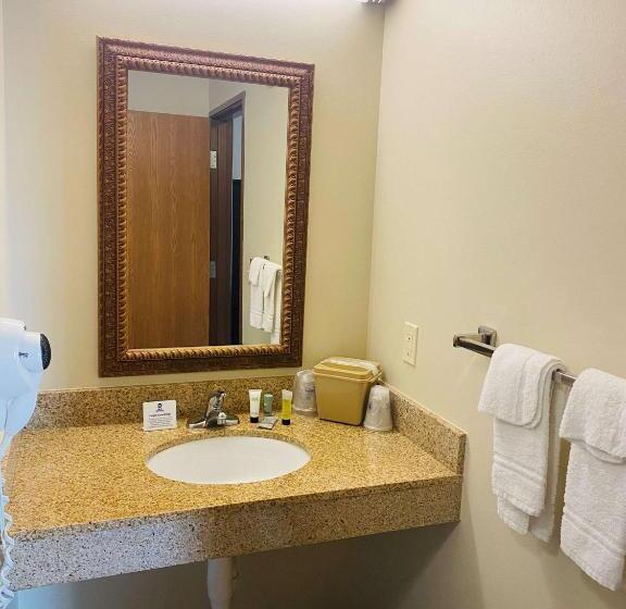 Люкс Кровать Кинг, Best Western Legacy Inn & Suites Beloit/south Beloit