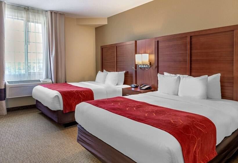 Люкс, Comfort Suites Eugene