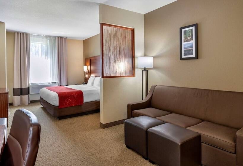 Люкс Вид на Горы, Comfort Suites Eugene