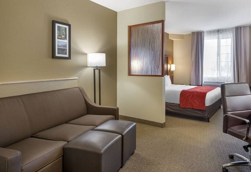 Люкс, Comfort Suites Eugene