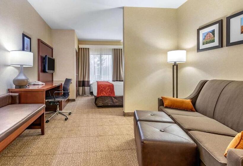 اتاق استاندارد با تخت بزرگ, Comfort Suites South