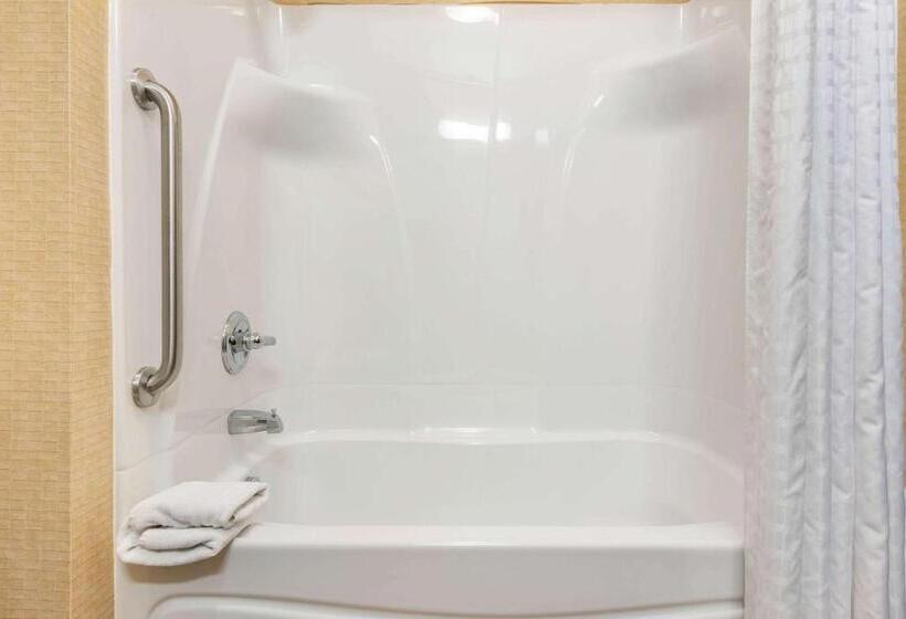 اتاق استاندارد با تخت بزرگ, Comfort Suites South