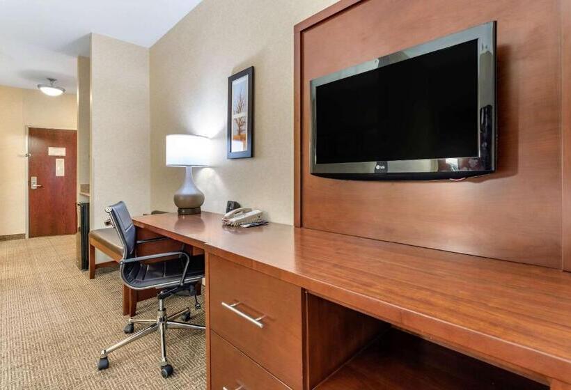 اتاق استاندارد با تخت بزرگ, Comfort Suites South