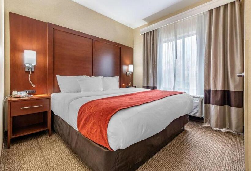 اتاق استاندارد با تخت بزرگ, Comfort Suites South