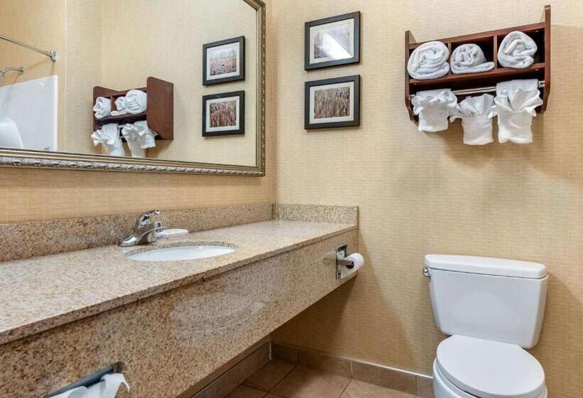 اتاق استاندارد با تخت بزرگ, Comfort Suites South