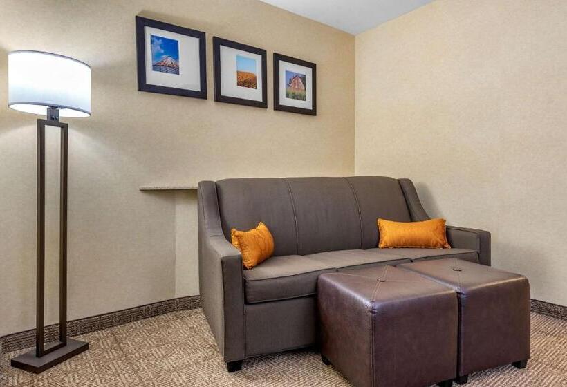 اتاق استاندارد, Comfort Suites South