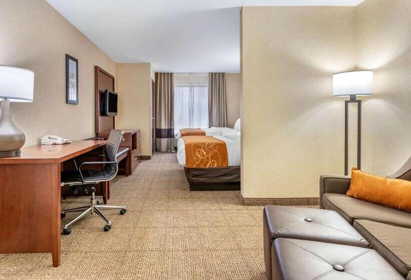 اتاق استاندارد, Comfort Suites South