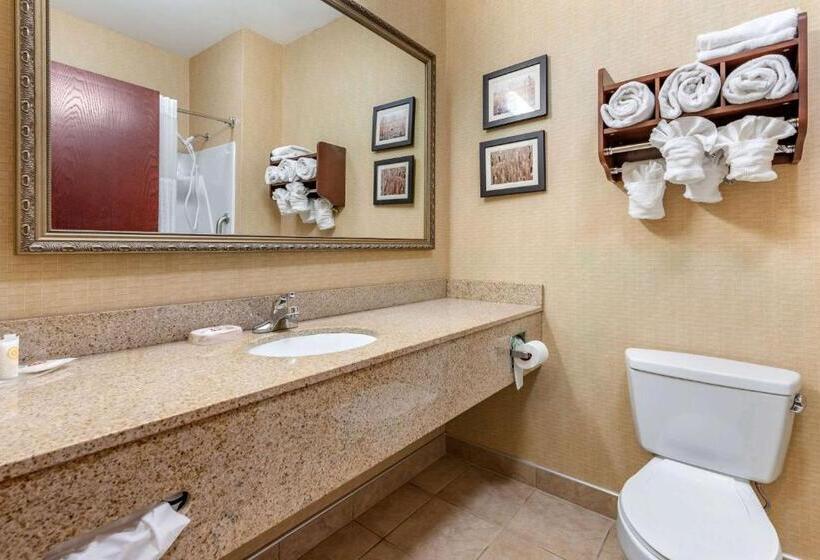 اتاق استاندارد, Comfort Suites South