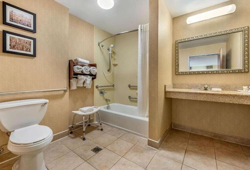 سوئیت برای معلولان, Comfort Suites South