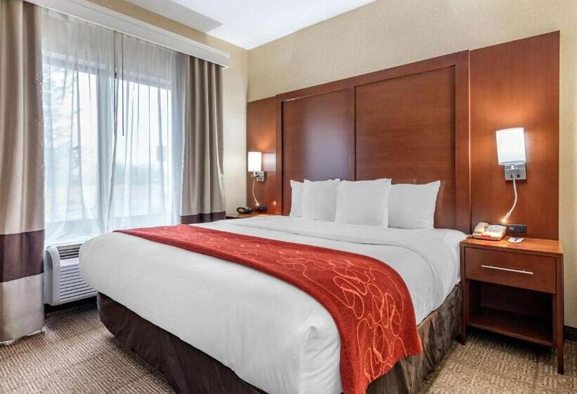 سوئیت برای معلولان, Comfort Suites South