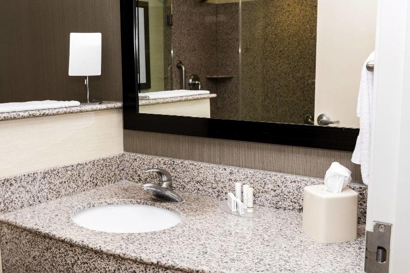 キングサイズベッドのスタンダードルーム, Courtyard By Marriott Lafayette