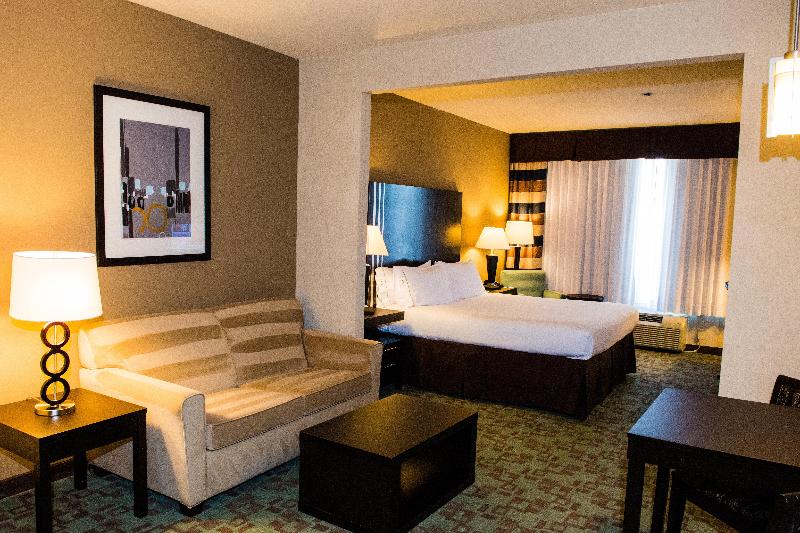 Люкс Кровать Кинг, Holiday Inn Express & Suites Houston Nw/beltway 8 West Road By Ihg