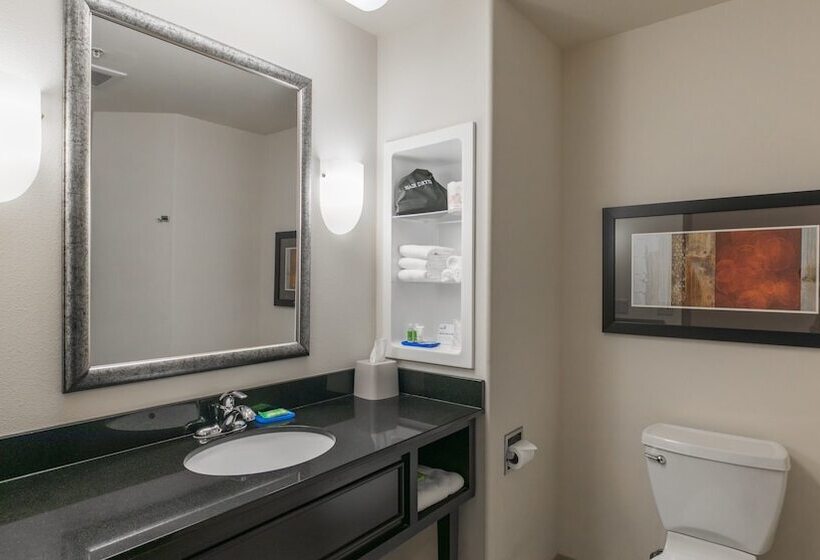 اتاق استاندارد, Holiday Inn Express & Suites Oklahoma City Nw   Quail Springs, An Ihg