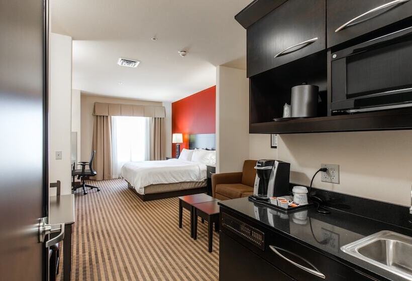 اتاق استاندارد, Holiday Inn Express & Suites Oklahoma City Nw   Quail Springs, An Ihg