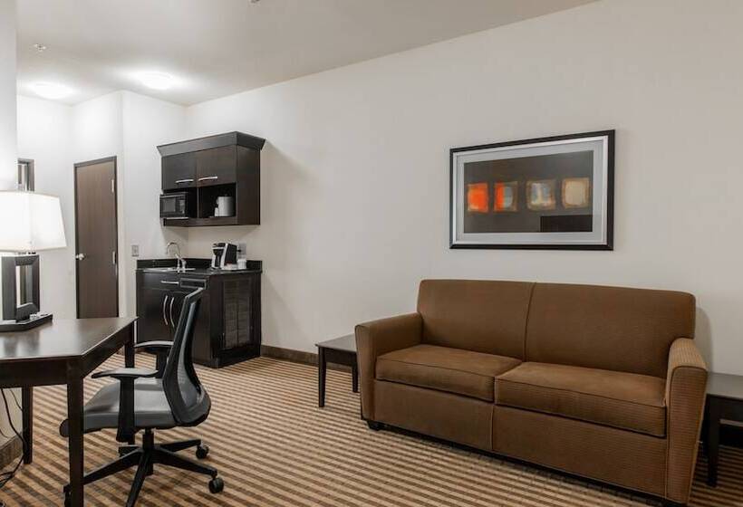 اتاق استاندارد, Holiday Inn Express & Suites Oklahoma City Nw   Quail Springs, An Ihg